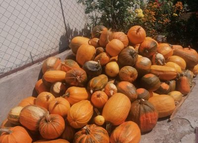 IMG5c43583c52791161bed986ac8688ad8cV(2)1663740631