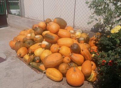 IMGcc6ce61f582fe705498e8b013c3d08efV(2)1663740649