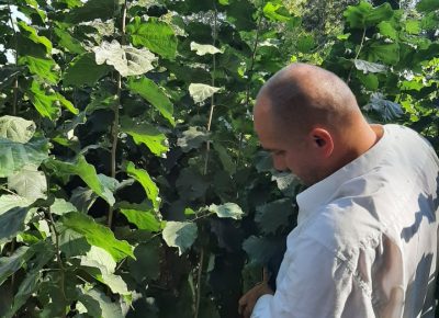 2420898489143351527701057791869167664811410n1668898413