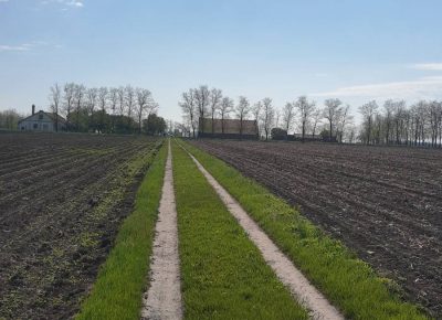 IMG09e4c47f91de757dd5b614680d8d61e8V1667899604