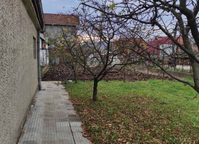 IMG72b78dacccf3ce4a2b48773809259c03V1668108624