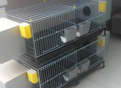 kavezizapilicekavezizakunice1667856162