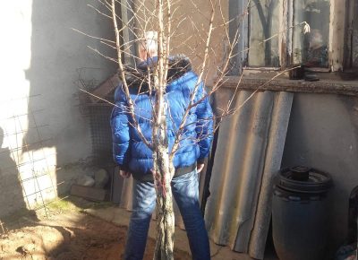 received14886365449762991669065986