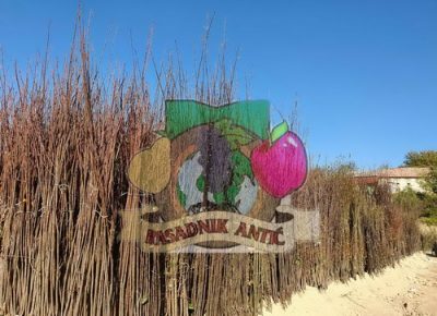 viberslika20200723234943manja1667562842