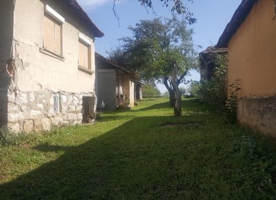 202010031315391669990425