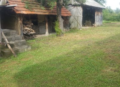 202106101646241669990421