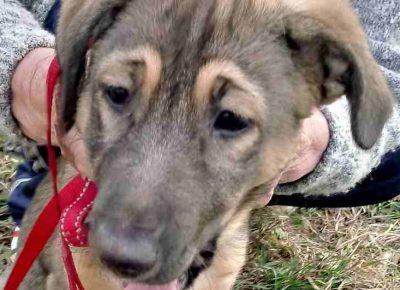 IMG00c70224ed31a3b83dc8649745bd898fV~21670242955