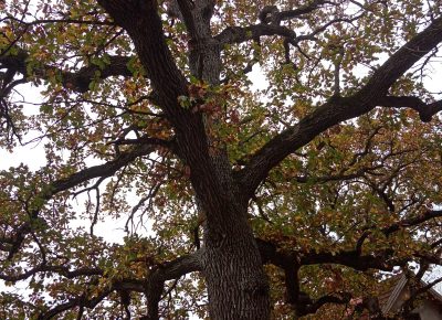 IMG202211051401411671093228