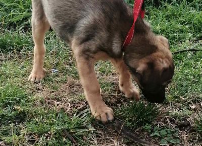 IMG6ac359209b6cf09b51231d79cdada637V1670243066