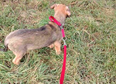 IMGa0ad66e584fbc17ef0dab4e8e7715d0aV1670242988