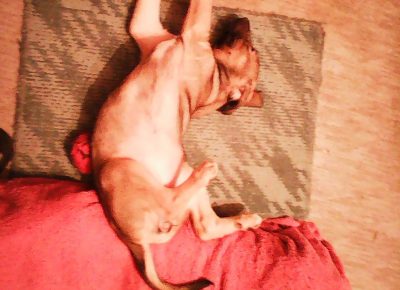 Photo0672~21670243121