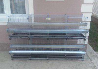 201902211642361675109686