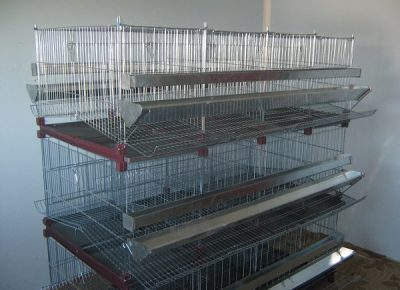 kavezizakoke1675109748