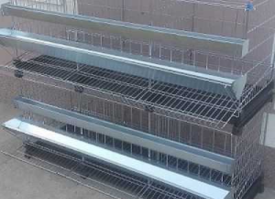 kavezizakokeglavna1675109671