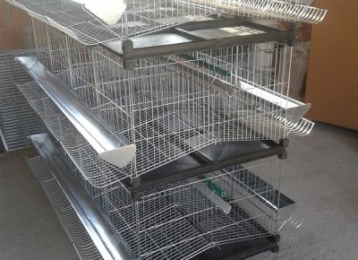 kavezizakokenovisad1675109736