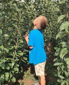 viberslika20221010223640429manja1674956014