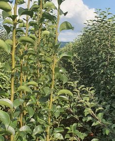 viberslika20221010223640857manja1674956014