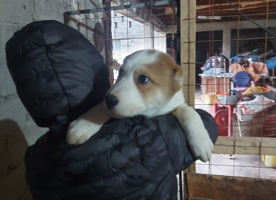 202302041446561676056336