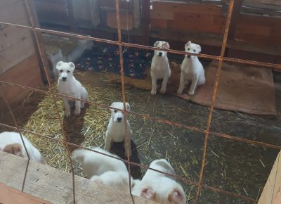 202302041452171676056220