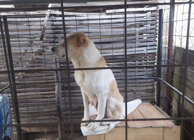 202302041452431676056241