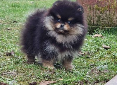 IMG1b38109fb6d71e292f13ab1bb956606fV1675412663