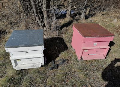 IMG202302101234411676106128