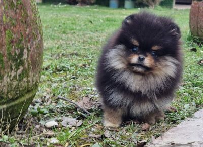 IMG80808a9ad9b9e7f012c58d2fcdf1781bV1675412668