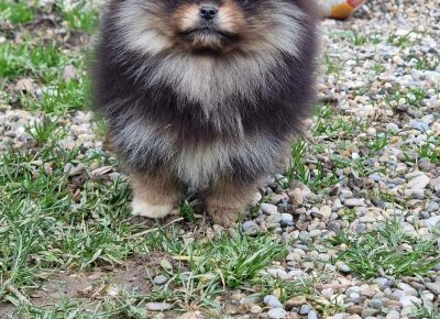 IMG8cdee953a24a3dc6a1ff303a42644bd5V1675412662