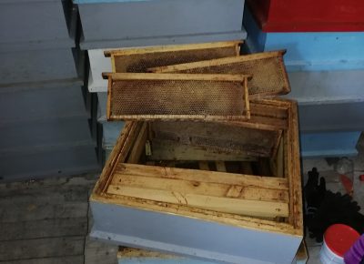 IMG202302221409111678018244