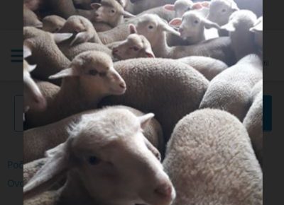 IMG202303282237151680039773