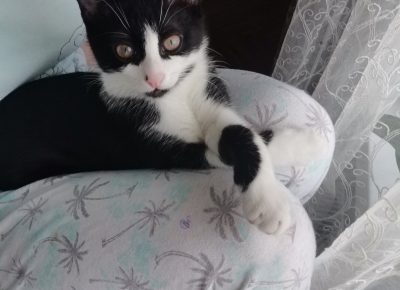 IMGc5c4cebf489cf8a6a2daa462798091f0V1679210283