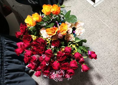 viberslika20230305162201549Copy(2)1678110826