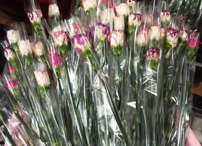 viberslika20230305175129952Copy(2)1678110826