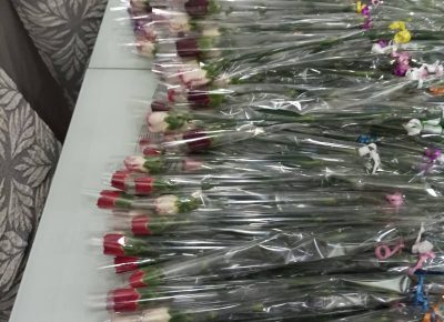 viberslika20230305175130005CopyCopy1678110825