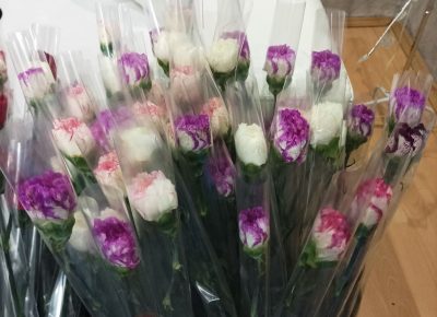 viberslika20230305175130657CopyCopy1678110825