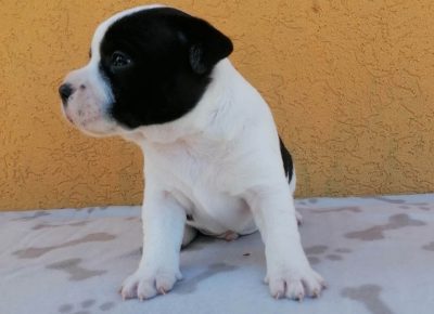 3349135318944238082815663901120733493437481n1682258786