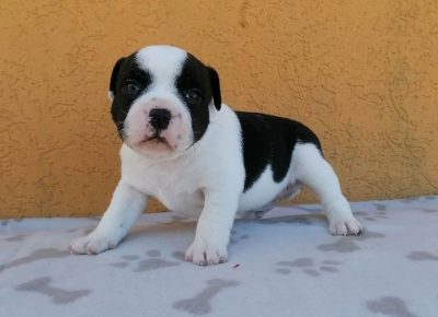 33491392334077150395035225379479822024192554n1682258786