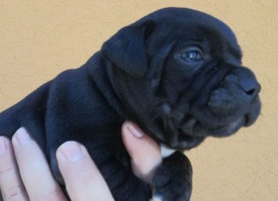 3366472069206630592053265789669932180404544n1682258786