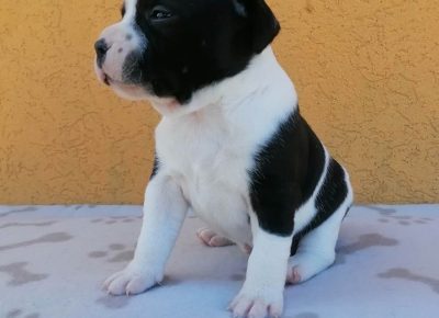 3371807366080346908648855826890506531342051n1682258787