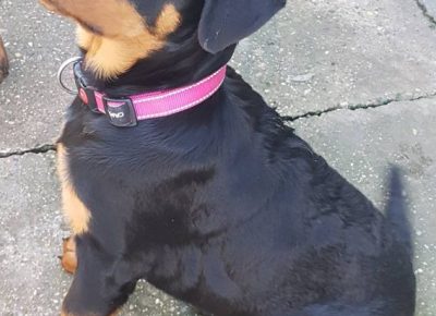 viberimage202304031020255051680799564