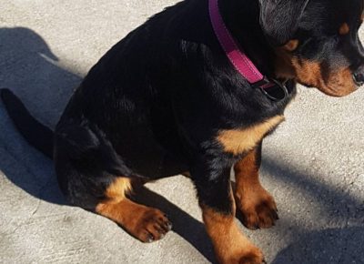 viberimage202304031020259051680799565