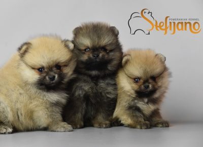 viberslika202303301522021131680335707