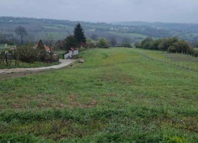 placdrazevac11683818691