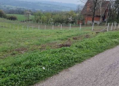 placdrazevac31683818691