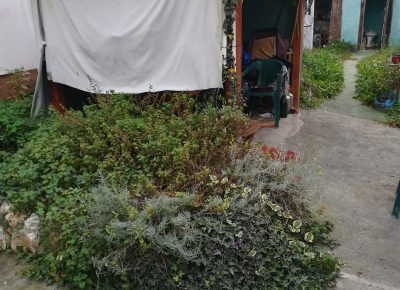 IMG202210121506421687712634