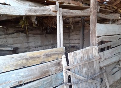 202210071422511688631597