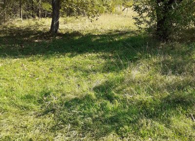 202210071425021688631909