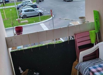 received9134295365651001689495887