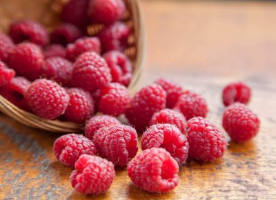 shutterstock25425338521688300077