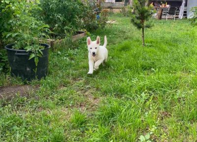 viberimage202307051506188291689020038